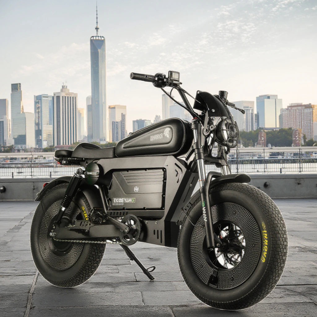 ZPW Black Warrior 3000w motor Motorbikes 48V 60AH E bike Adult Road Electric Bicycle 20 inch Off-road Fat Tyre Electric Bike