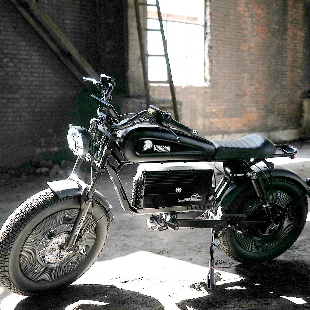 ZPW Black Warrior 3000w motor Motorbikes 48V 60AH E bike Adult Road Electric Bicycle 20 inch Off-road Fat Tyre Electric Bike