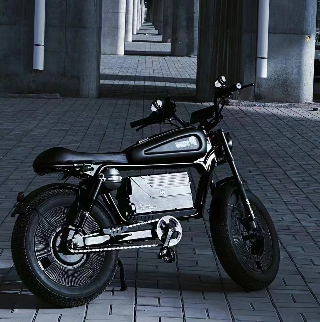 SXLL China Cheap Long Range Motorcycle Electric Retro Sport Cross Bike Motorcycle Electric System Electric Bike Adult Men Women