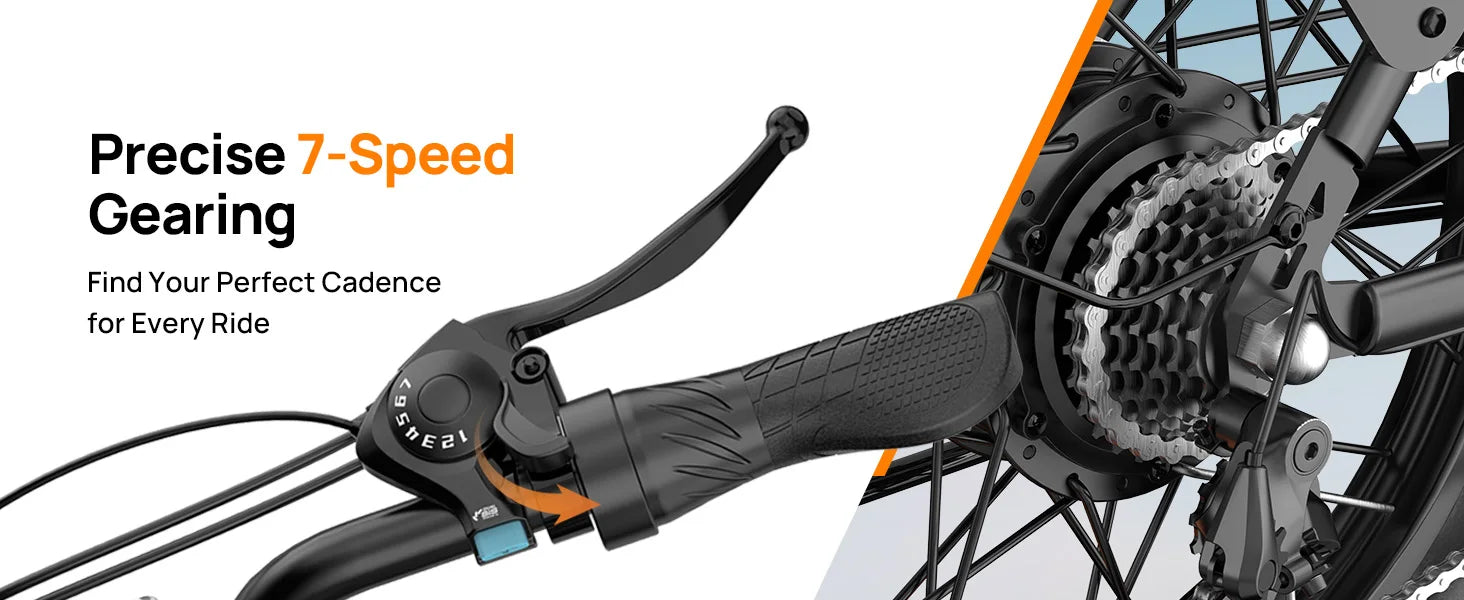 1000W E20 Electric Bike | 48V 13Ah Removable Battery, 20MPH, 20''X3" Fat Tire, 7-Speed Electric Bicycles with Dual Disc Brake