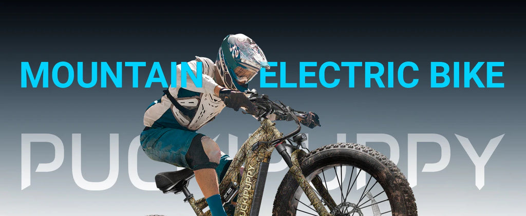 1350W Peak Electric Bike for Adults 48V 20AH Battery 26 Fat Tire Full Suspension Mountain Ebike 80 Miles Range