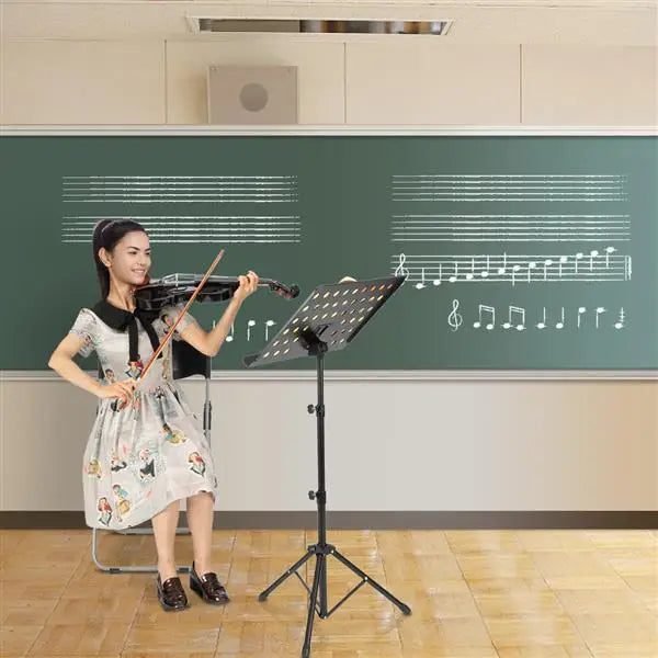 Full Size Matte Black 4/4 Spruce Panel Wooden Violin Set with Case Bow Rosin  4 Strings Shoulder Rest Turner Cleaning Cloth