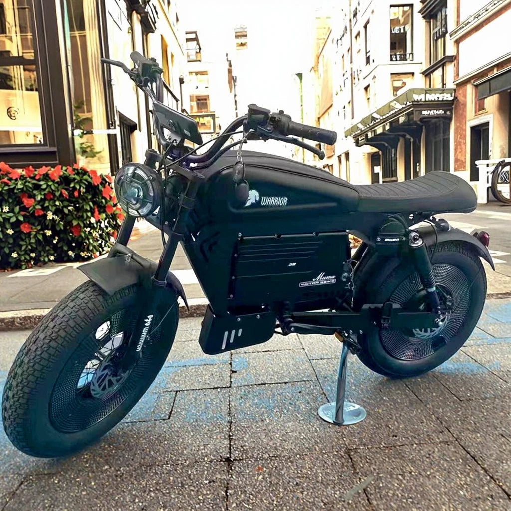 ZPW Black Warrior 3000w motor Motorbikes 48V 60AH E bike Adult Road Electric Bicycle 20 inch Off-road Fat Tyre Electric Bike