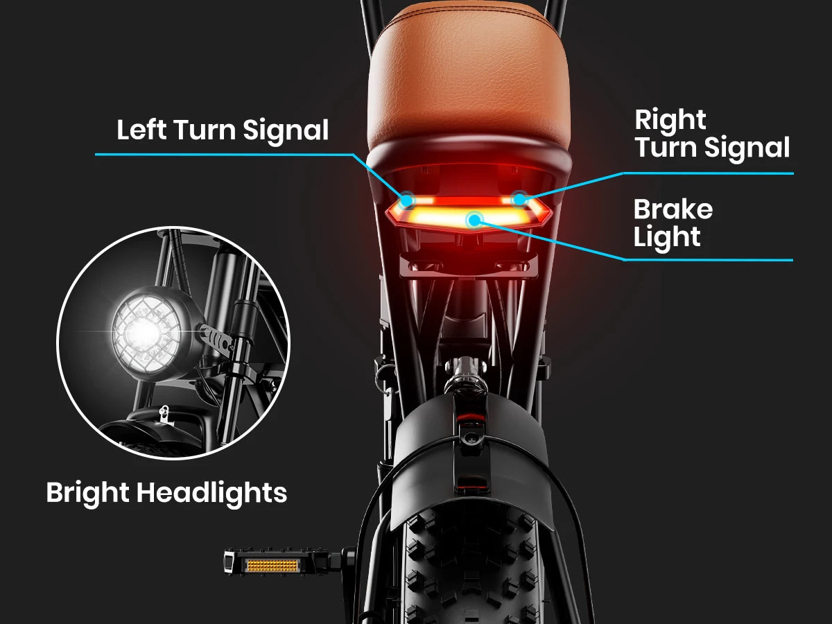 AMYET V9-G60 Adults Electric Bike 1000W Motor Bicycle 48V 20AH 20“ Tire Ebike Electric E Bikes Mountain Moped Ebikes For Men